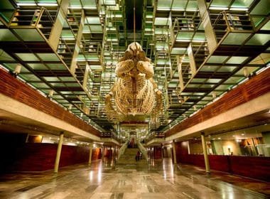 BIBLIOTECA1