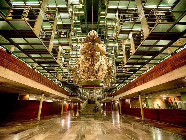 BIBLIOTECA1