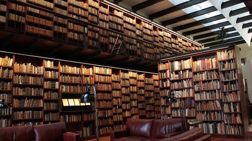 Una ley para mejorar los servicios de las bibliotecas y favorecer al bibliotecario y al lector
