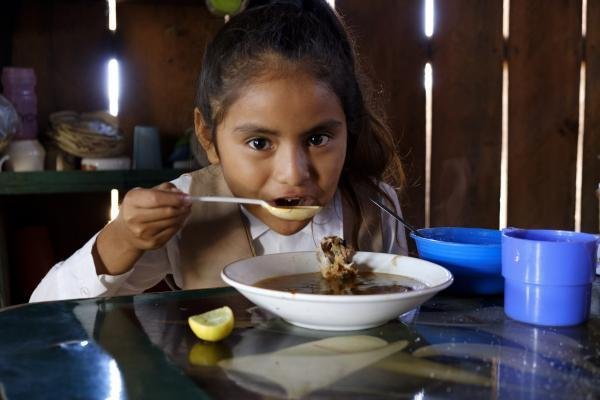 La economía de la salud, tema fundamental y relevante de política pública en México