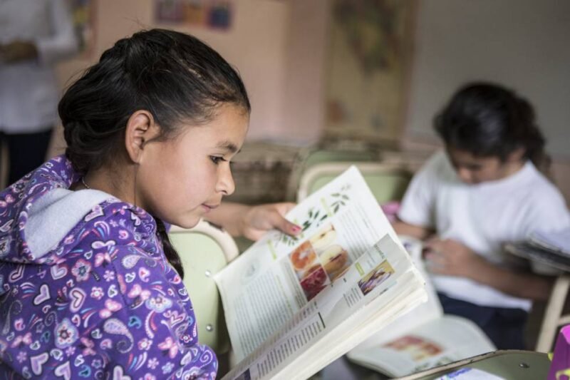 EDUCACION