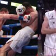 canelo