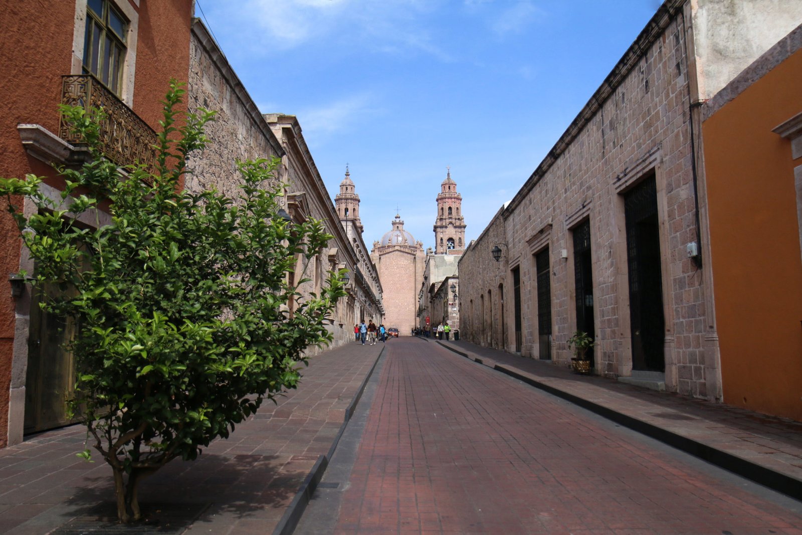 Catedral Vista Trasera Morelia scaled