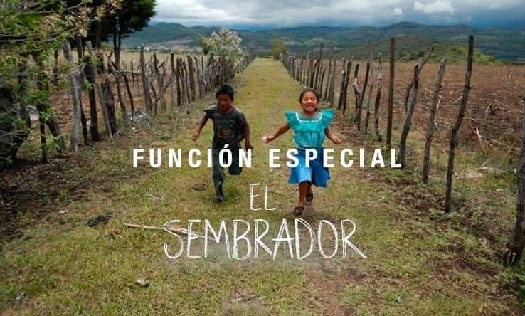 FB IMG 1611100381634 FB IMG 1611100381634