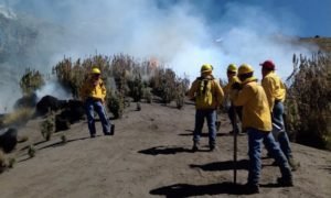 INCENDIO1