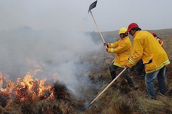 INCENDIO3 INCENDIO3