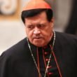 cardenalok