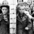 holocausto