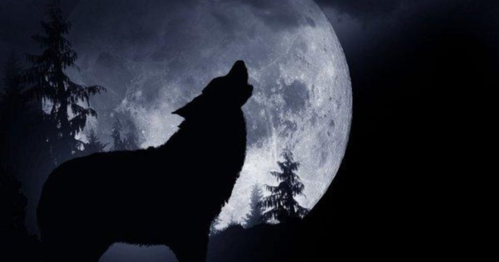 luna luna