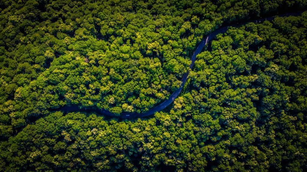 Natura 3 Natura 3