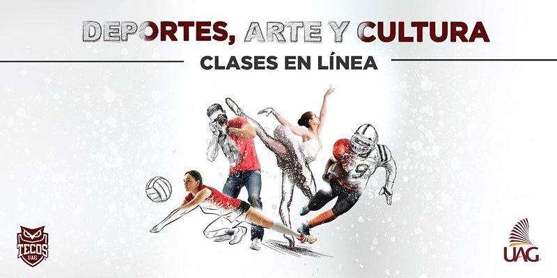 actividades