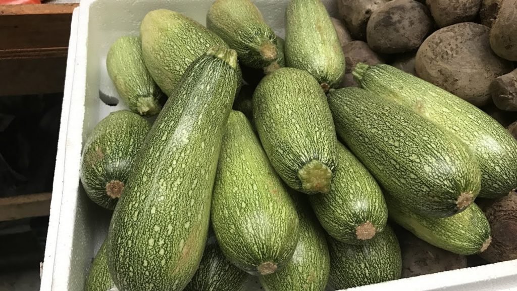 calabazas2