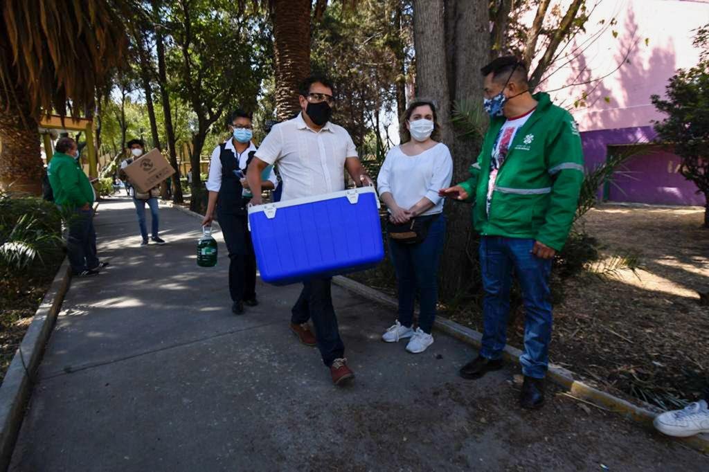 VACUNACIONOK VACUNACIONOK