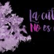 mujeres1