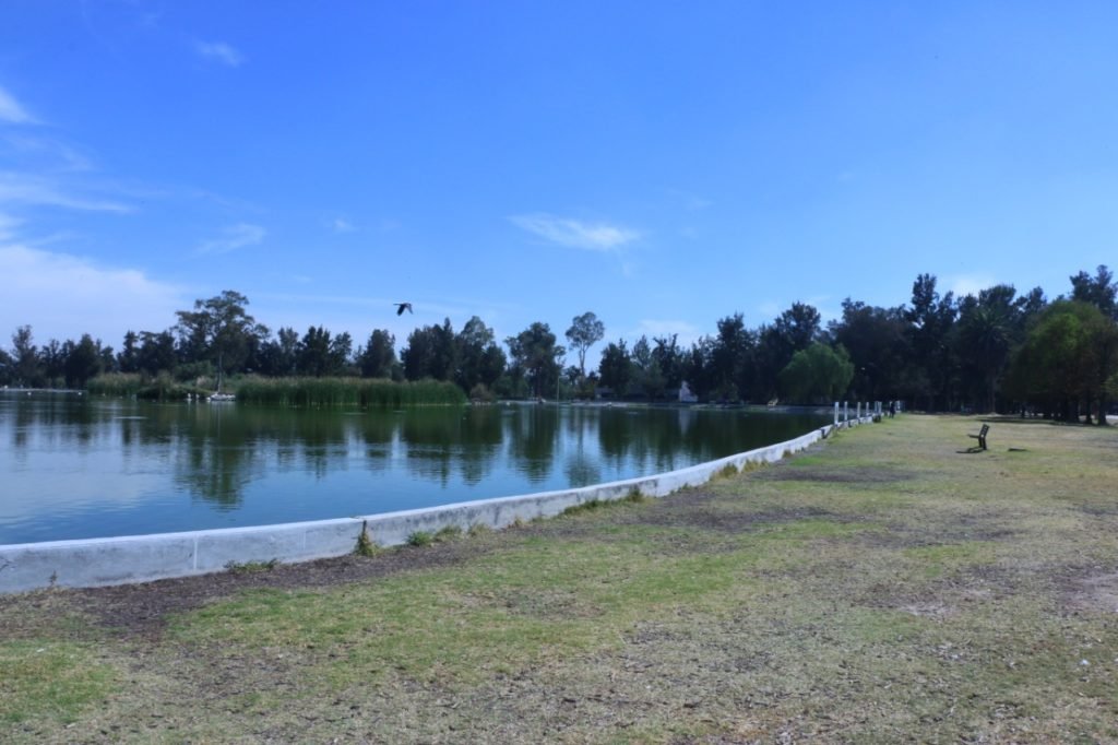bosque3