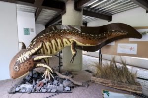 museo1