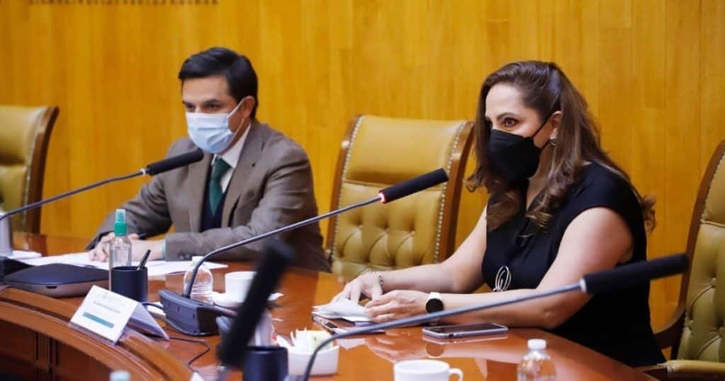 IMSS1 1