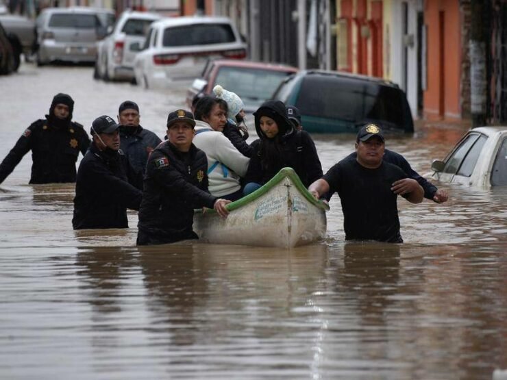 damnificados