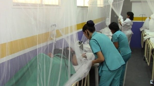dengue1