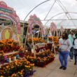 flor2 1