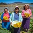 mujeres2