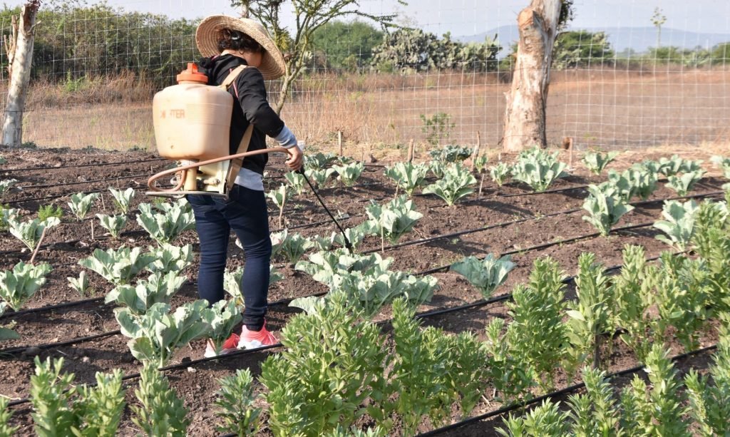 agricultura1