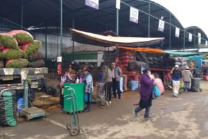 alimentos1