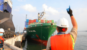 exportaciones1