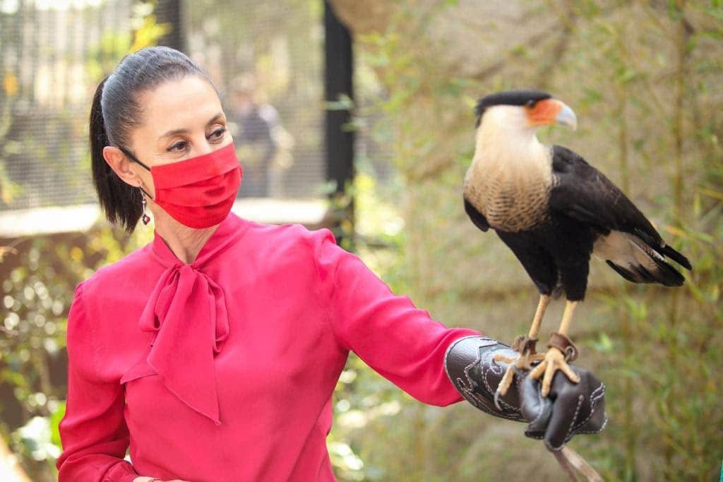 zoologico3