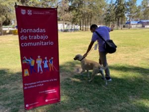 animalesok