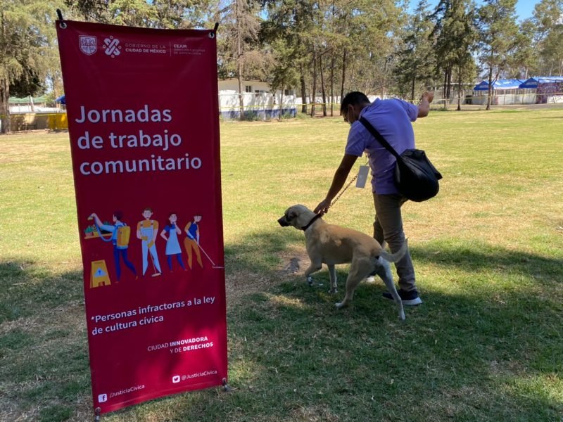 animalesok