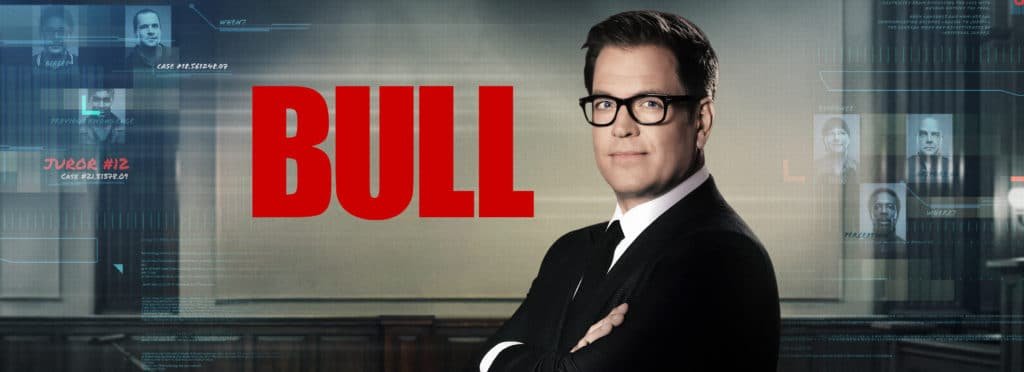 bull2