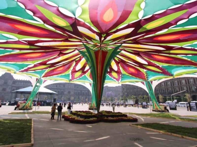 FESTIVAL1