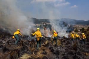 INCENDIOS1
