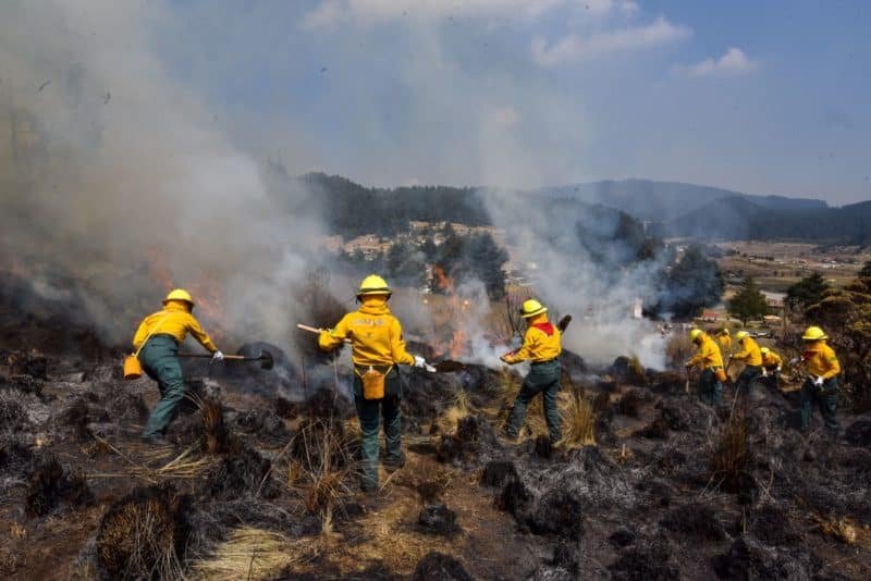 INCENDIOS1