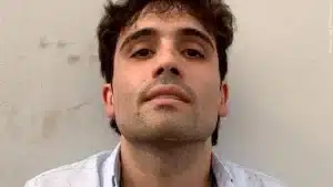 Ovidio Guzman