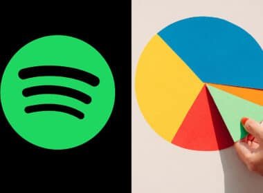spotify pie chart