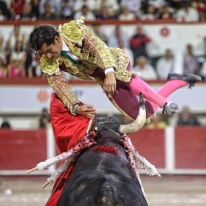 JOSELITO ADAME