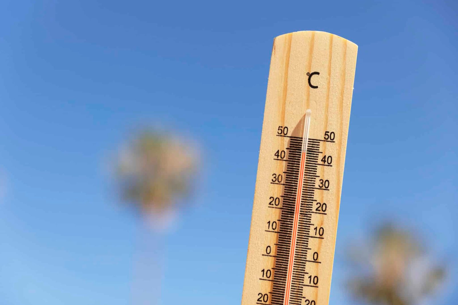 ola de calor