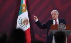 Quinto informe