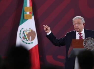 Quinto informe