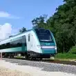 Tren Maya