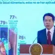 Mario Delgado SEP