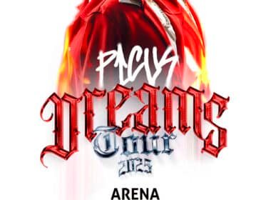 ENTREGABLES PICUS NFSTORIE 1080x1920 1