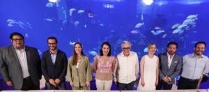 Comunicado 093 2