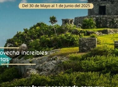 post Banner horizontal 3