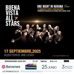 BVAS 2025 1