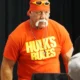 Hulk Hogan 2015 cropped.jpg