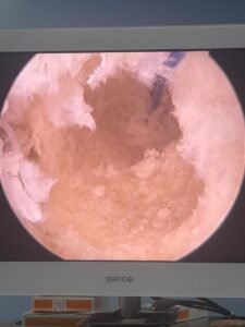 IMG 20250806 WA0092