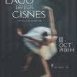 Lago de los Cisnes
